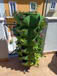 Horta vertical!!
