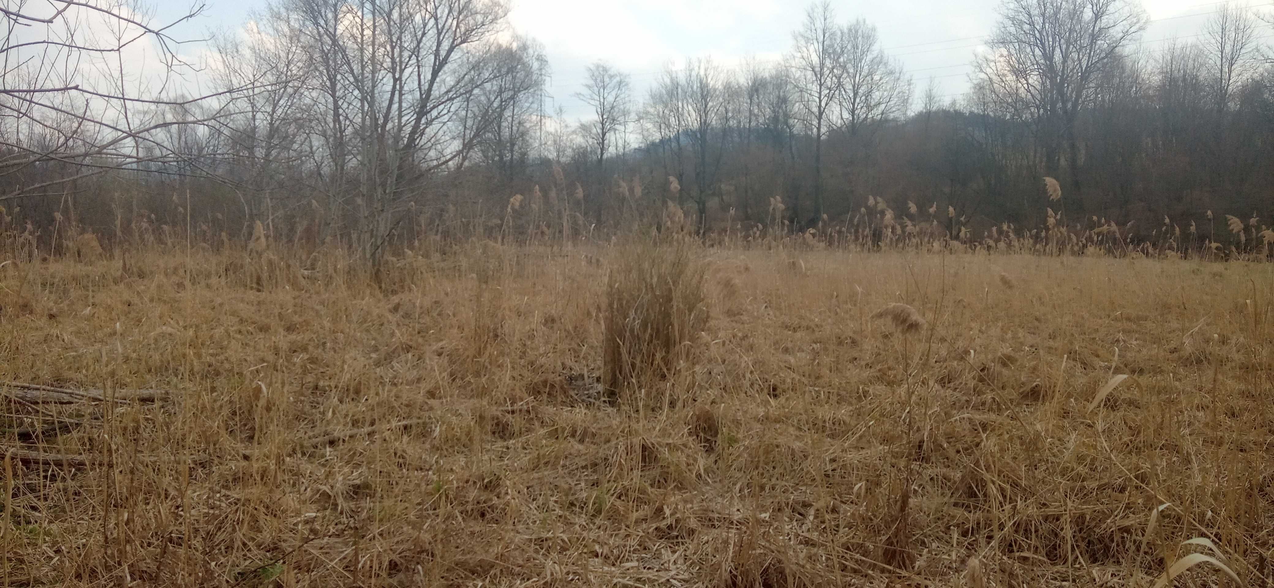 Działka zieleń, rolna Żywiec ul. Sporyska / Łąkowa
