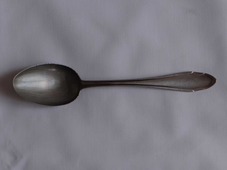 Łyżka stołowa Eickhorn Roneusil