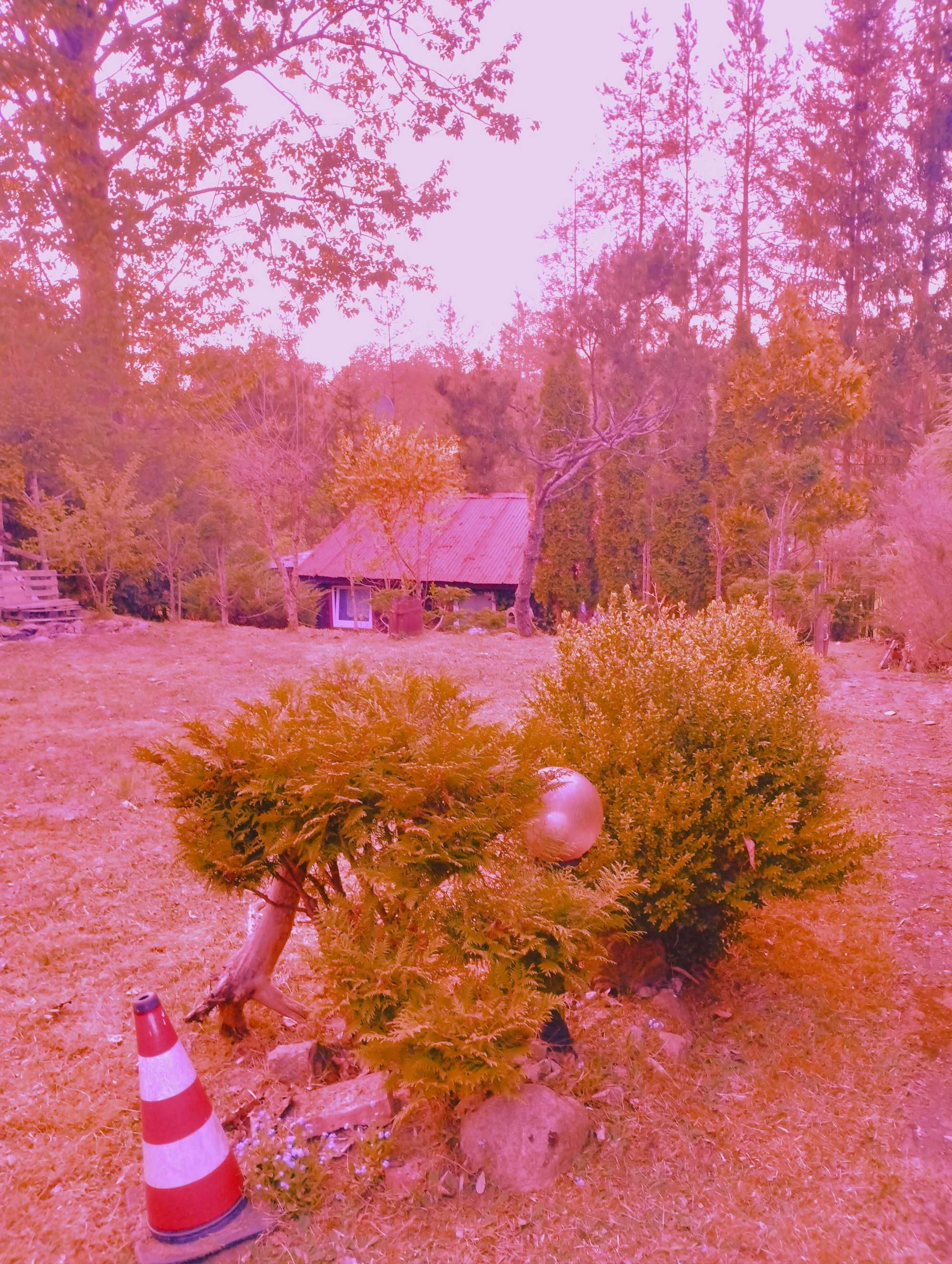 ~Działka ~ Domek ~nad jeziorem Spore ~