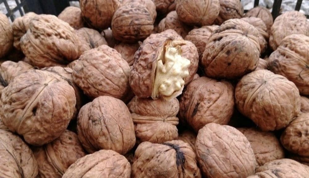 10 kg Orzechy włoskie 10 kg eko tegoroczne całe