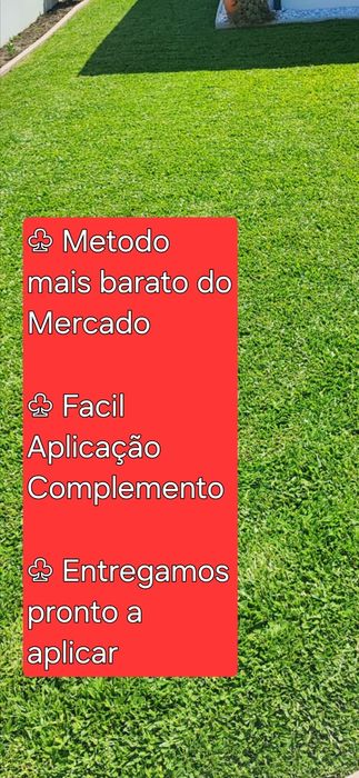 Graminha brasileira (VENDEMOS UMA SOLUÇÃO)