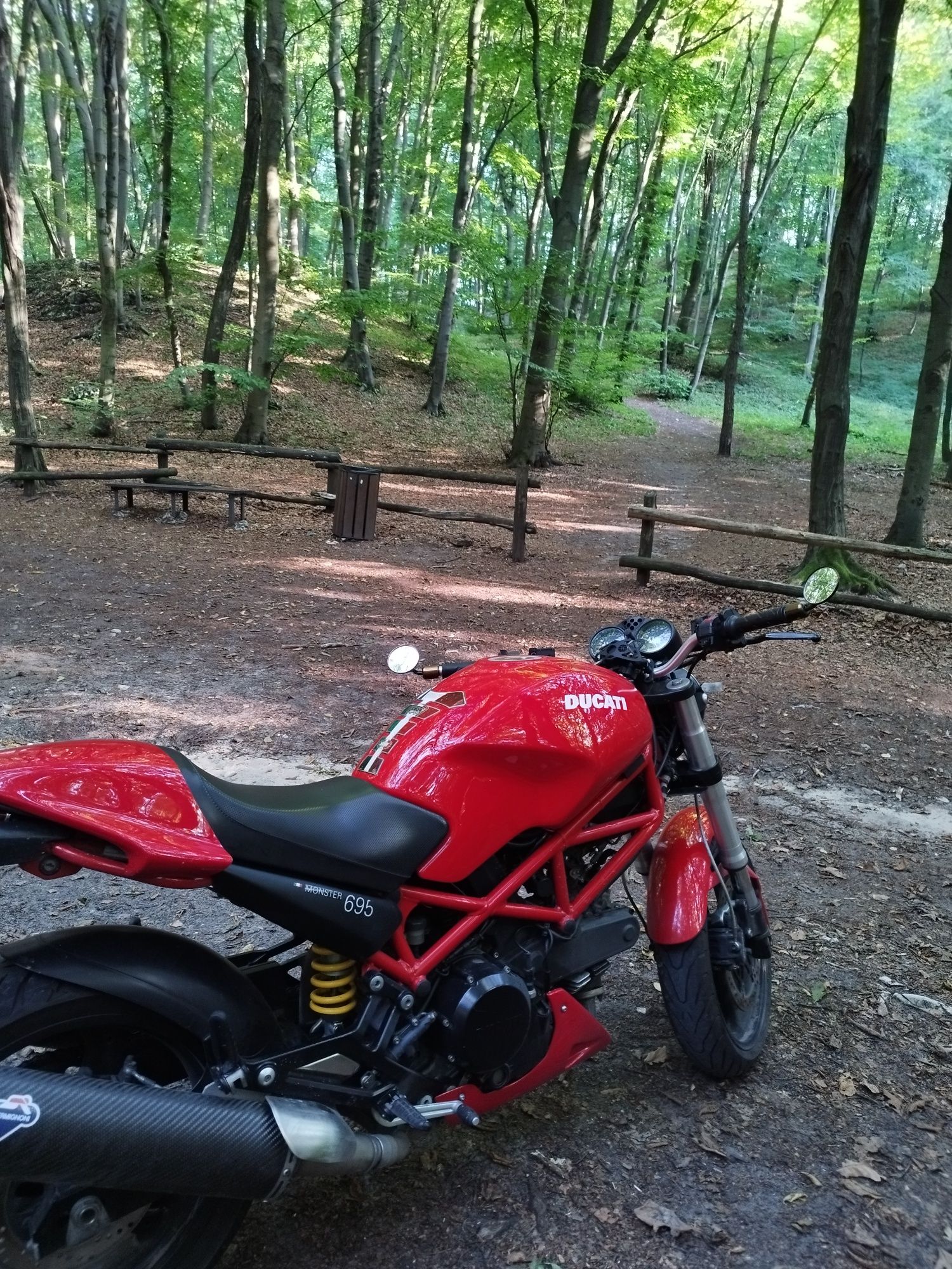 Ducati Monster 695