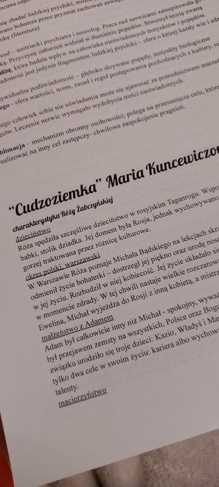 Sprzedam komplet notatek do matury z języka polskiego – PDF