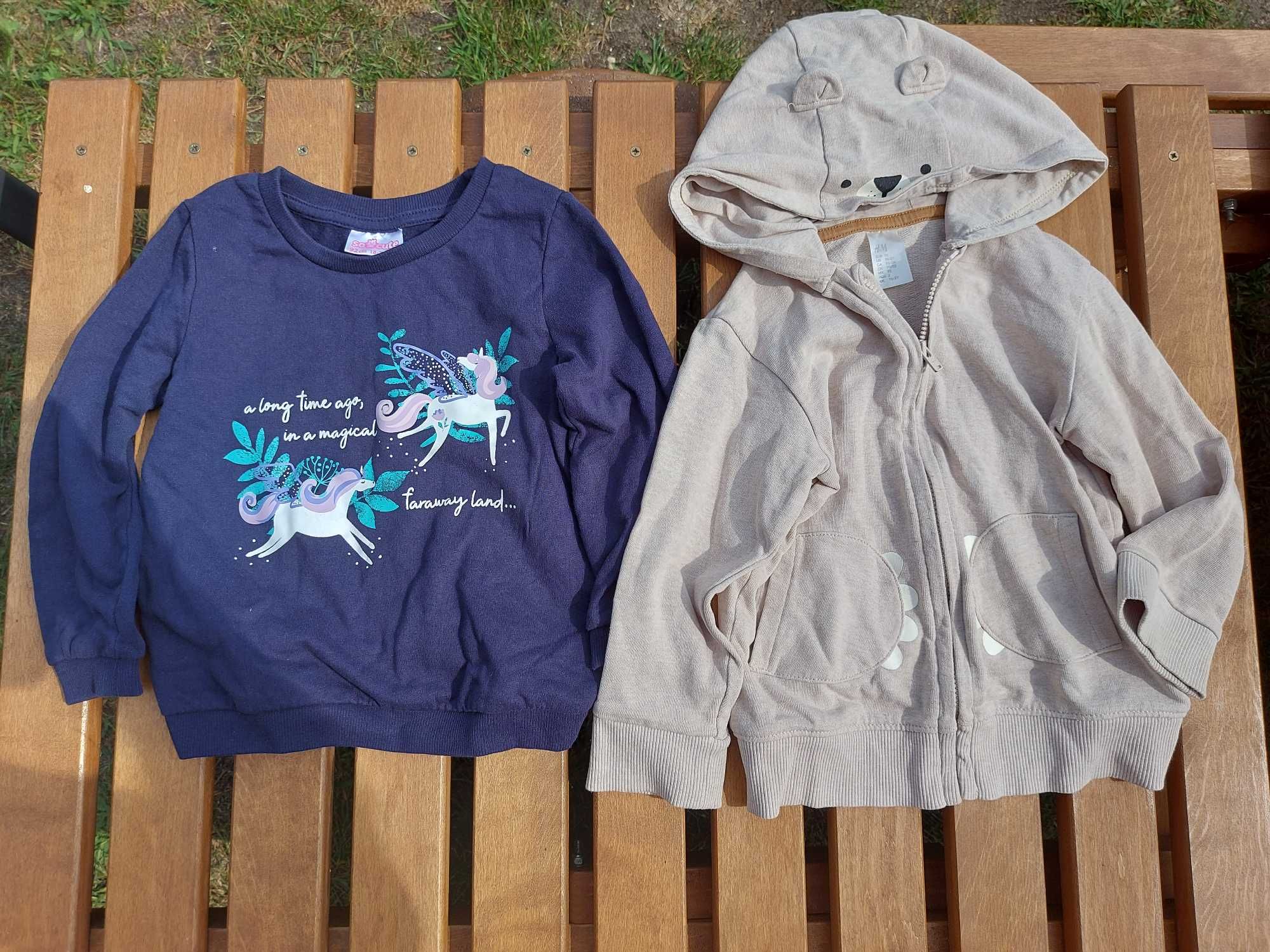 Bluza, 2 sztuki, rozm. 92, H&M i Pepco