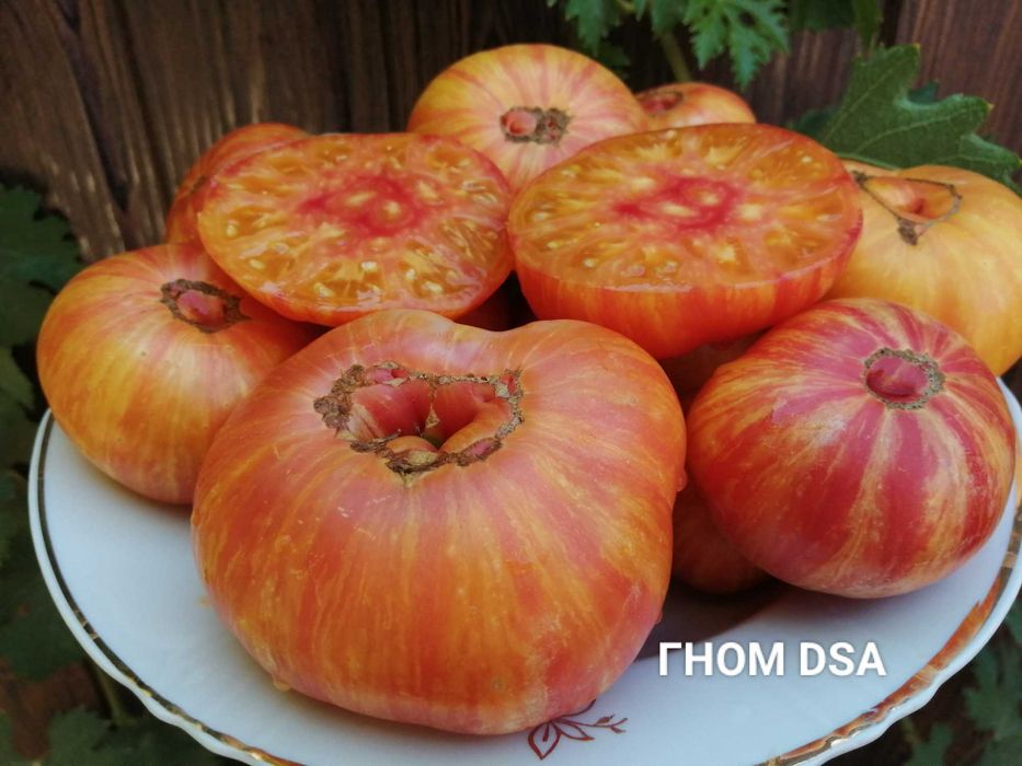 Помідори. Набір помідор.насіння помідор,домашние семена,семена помидор