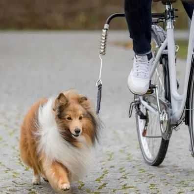 Uchwyt rowerowy / smycz rowerowa dla psów Trixie