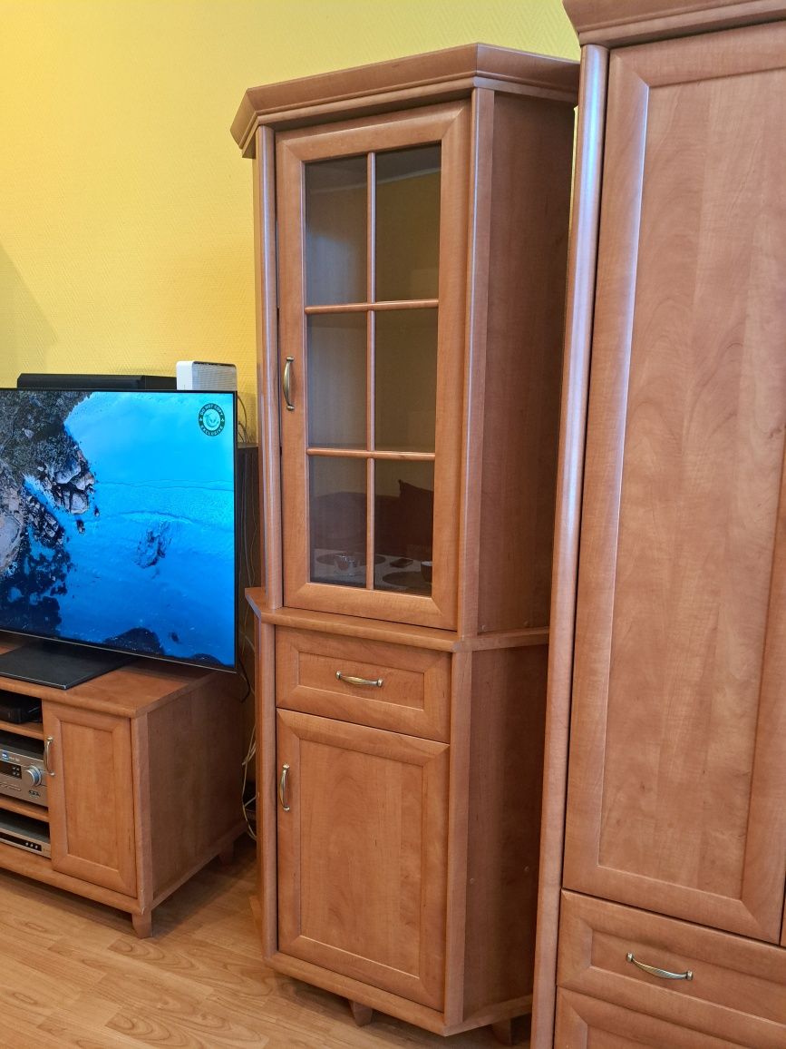 Meble: komoda z kredensem, kominek narożny, szafka tv
