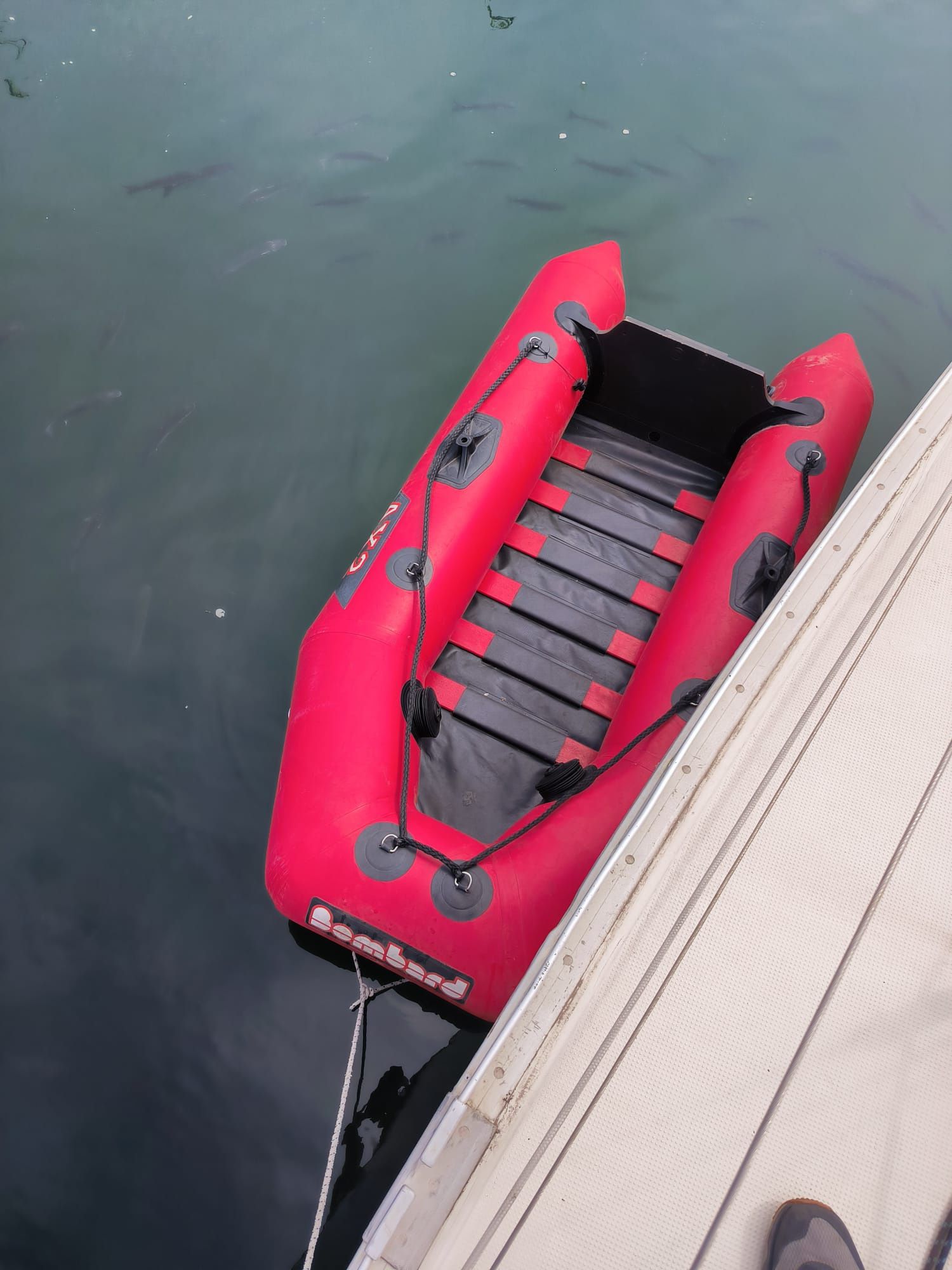 Bote pneumático Bombard AX2
