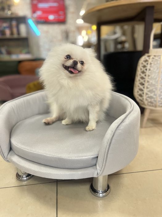 Лежак Лежанка для котів собак диван Люкс велюр