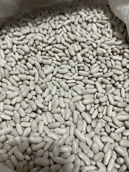 Насіння гарбуза сушене та смажене/ Семечки тыквенные /квасоля