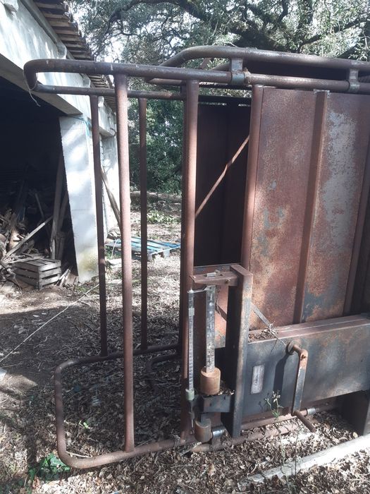 Balança de pesagem de animais