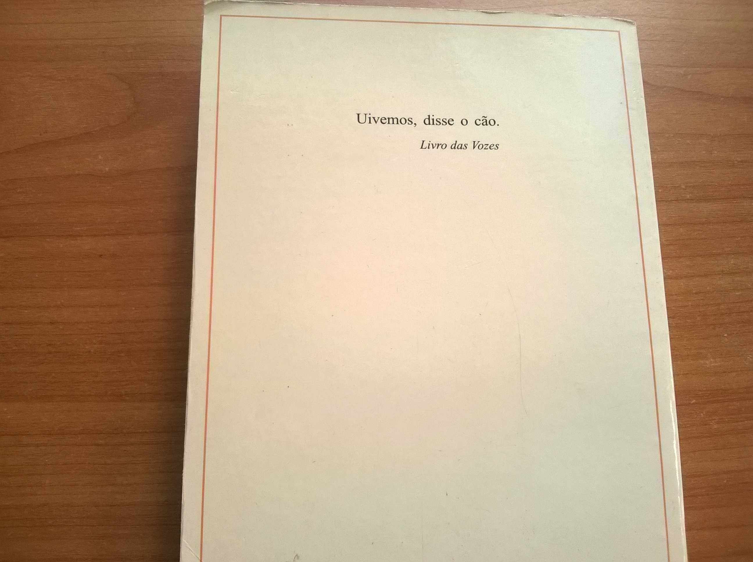 Ensaio sobre a Lucidez (1.ª ed.) - José Saramago