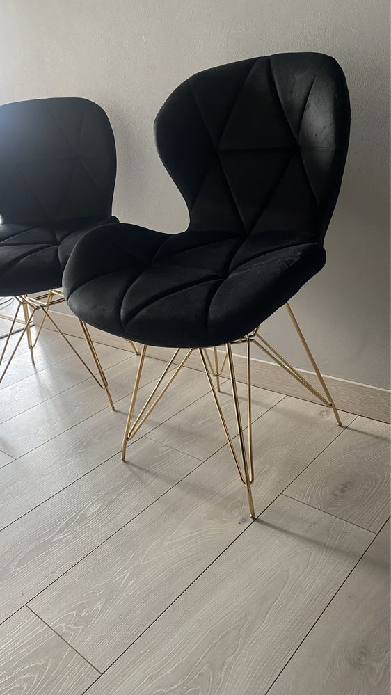 Krzesła welurowe tapicerowane złote nogi