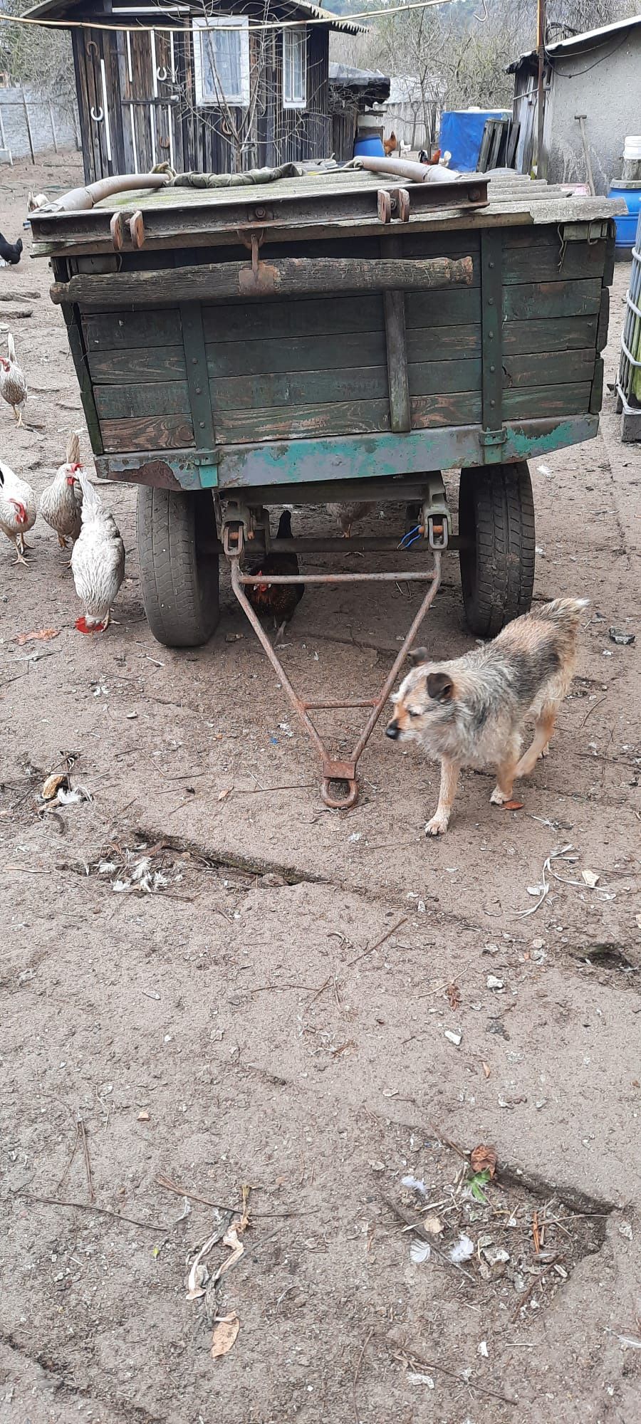 Wóz konny(ma zaczep na traktor) i pług