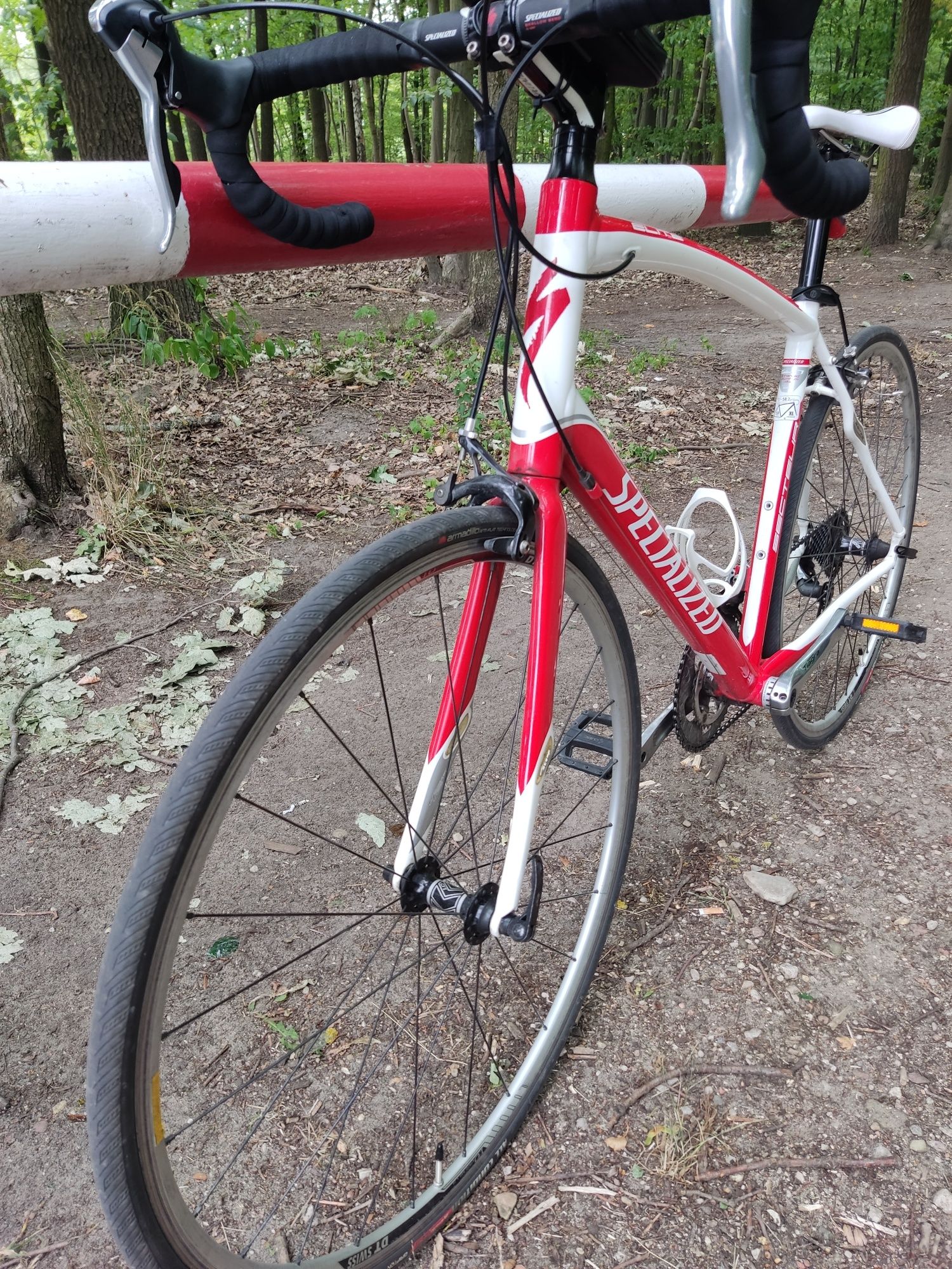 Specialized Secteur Elite stan bdb.