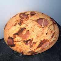 PODUSZKA cookies z czekoladą 40 cm
