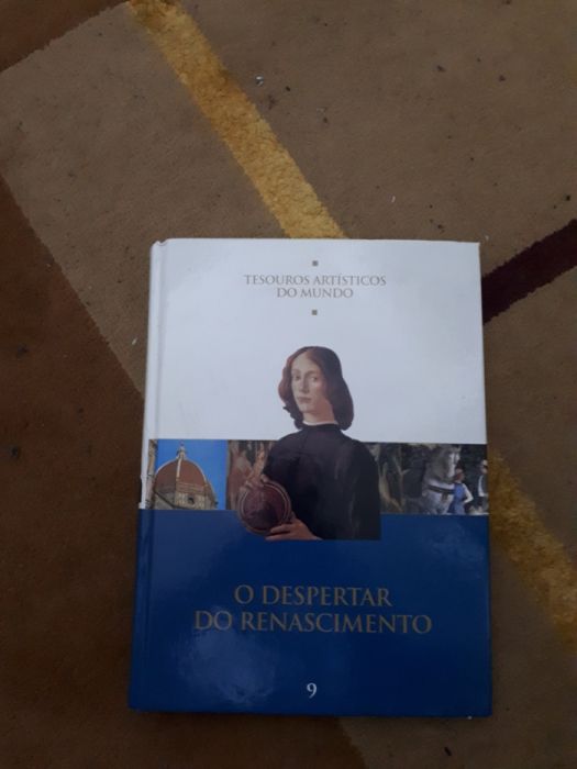 Livro o despertar do renascimento