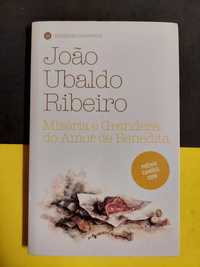 João Ubaldo Ribeiro - Miséria e grandeza do amor de benedita