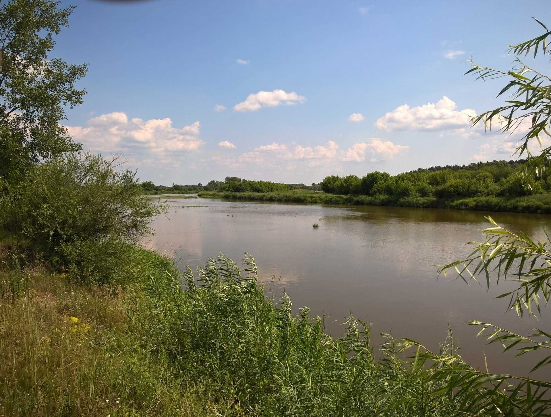 Dom jednorodzinny w Gulczewie, koło Wyszkowa nad Bugiem,150m. do rzeki