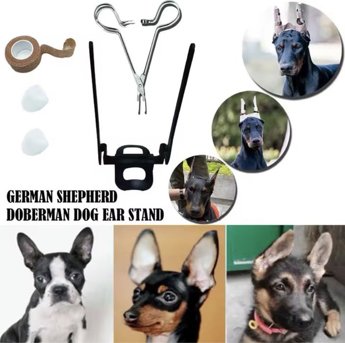 Інструмент для підтримки та корекції вух  собак