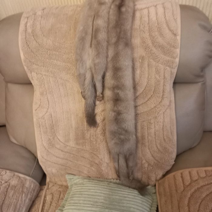 Szal z dwóch srebrzystych norek.