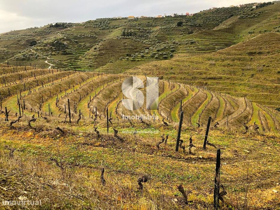 Propriedade Agrícola