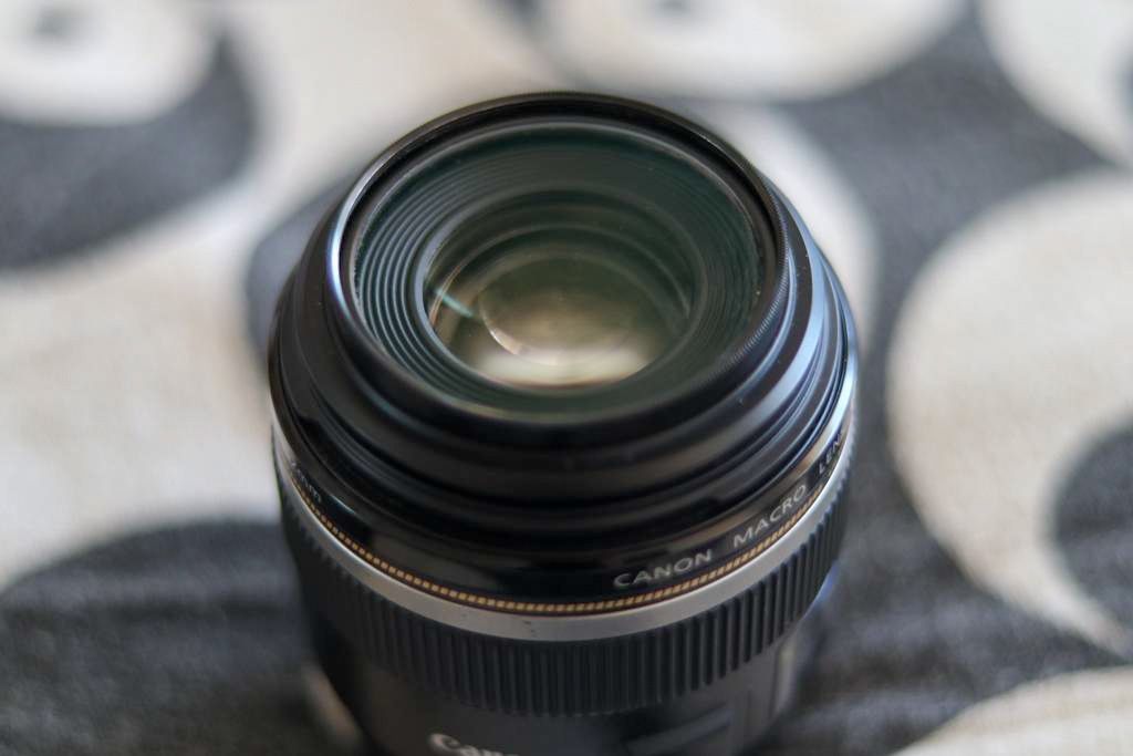 CANON MACRO LENS EF-S 60mm 1:2.8 + CANON ZOOM LENS EF-M 18-150mm