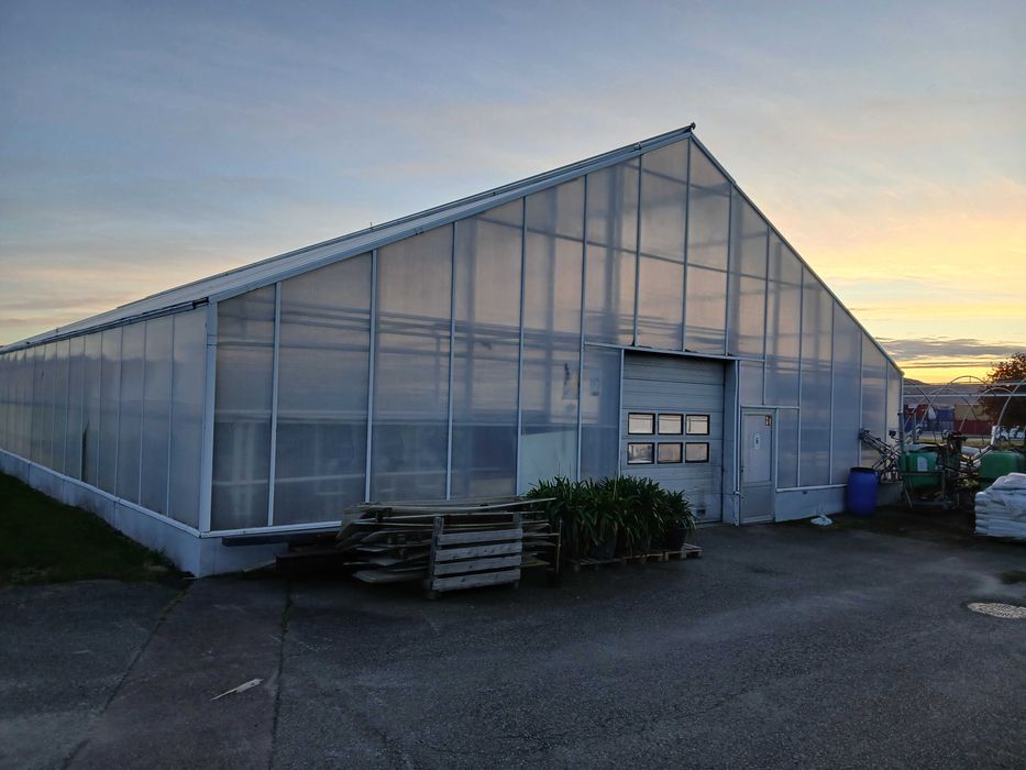 Szklarnia aluminiowa (zdjecia podgladowe)