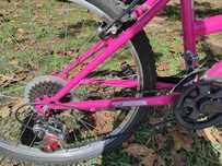 Bicicleta Menina