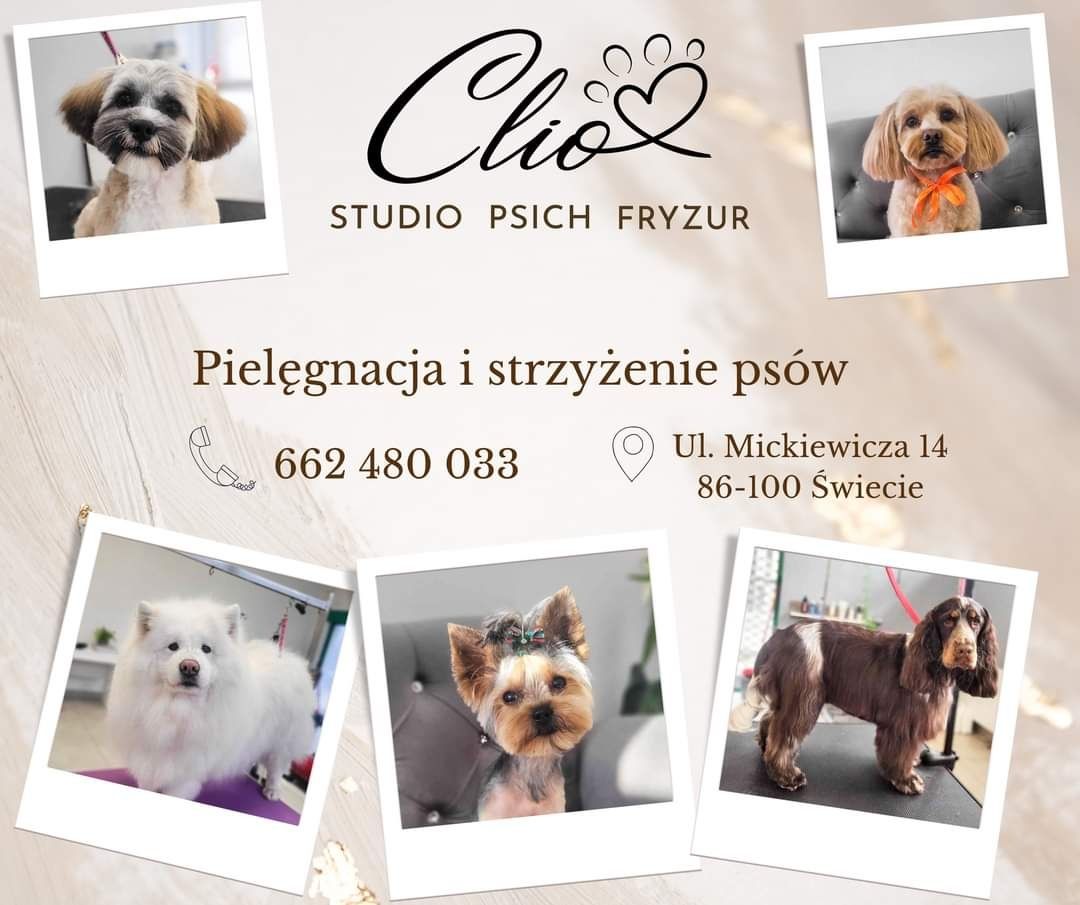 Pielęgnacja i strzyżenie psów Studio Psich Fryzur CLIO