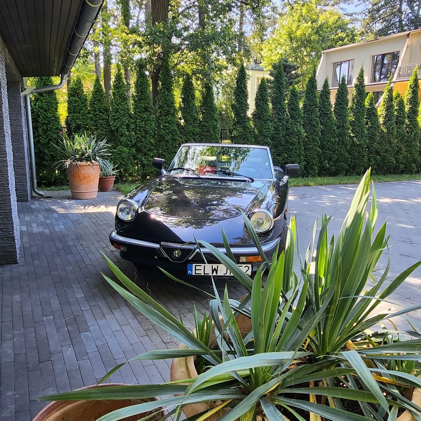 Alfa Romeo Spider Alfa Romeo Spider