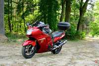 Honda CBR 1100 XX Blackbird