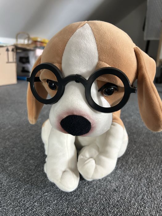 Interaktywny pies - Sherlock zabawa w chowanego