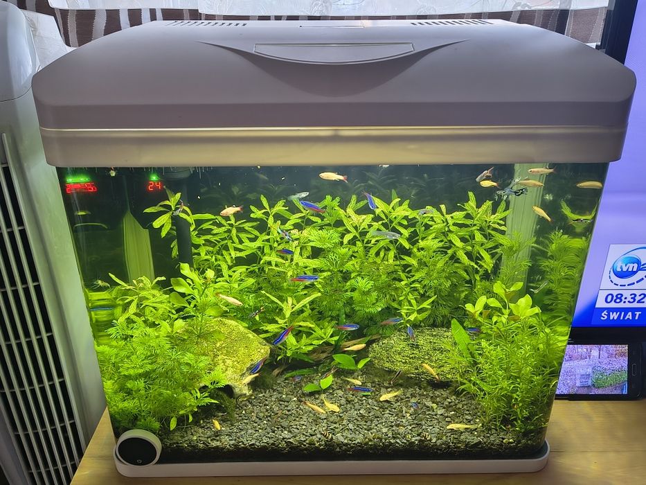 Designerskie oryginalne białe akwarium profilowane 50L LED INVITAL!