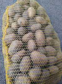 Ziemniaki jadalne oraz wielkości sadzeniaka