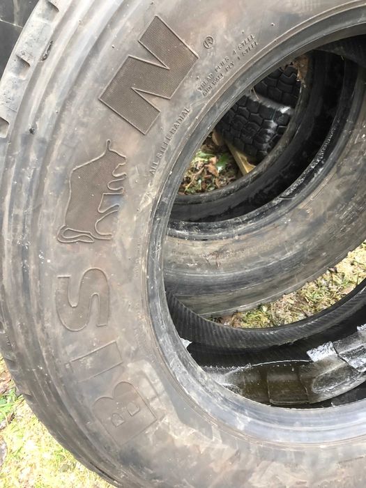 Вантажна шина BISON 385/55 R22.5 EcoWay, грузова резина