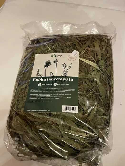 Babka lancetowana 600 g Tivo