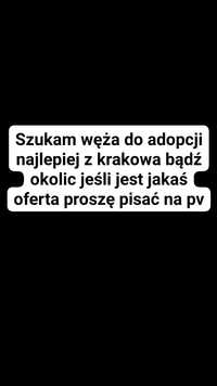 Wąż do adopcji kraków