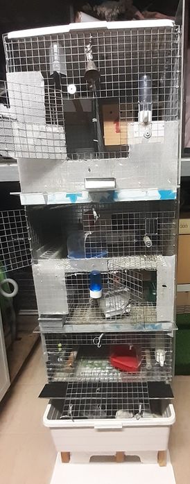 Jaula em  coluna  de apartamentos da para cinco casais