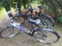 10 rowerów + 1 mały gratis cena za całość