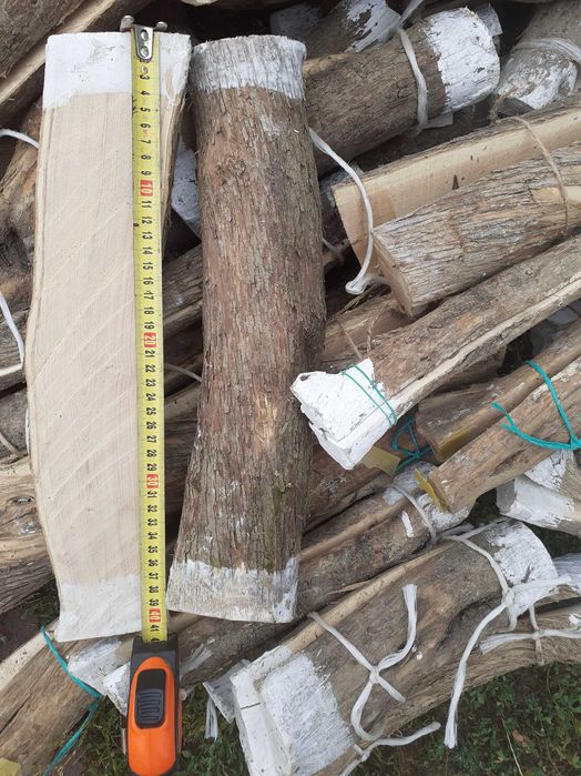 Бузок деревина 200 грн