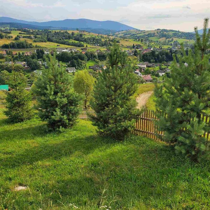 Продам будинок біля Буковелі і Драгобрата