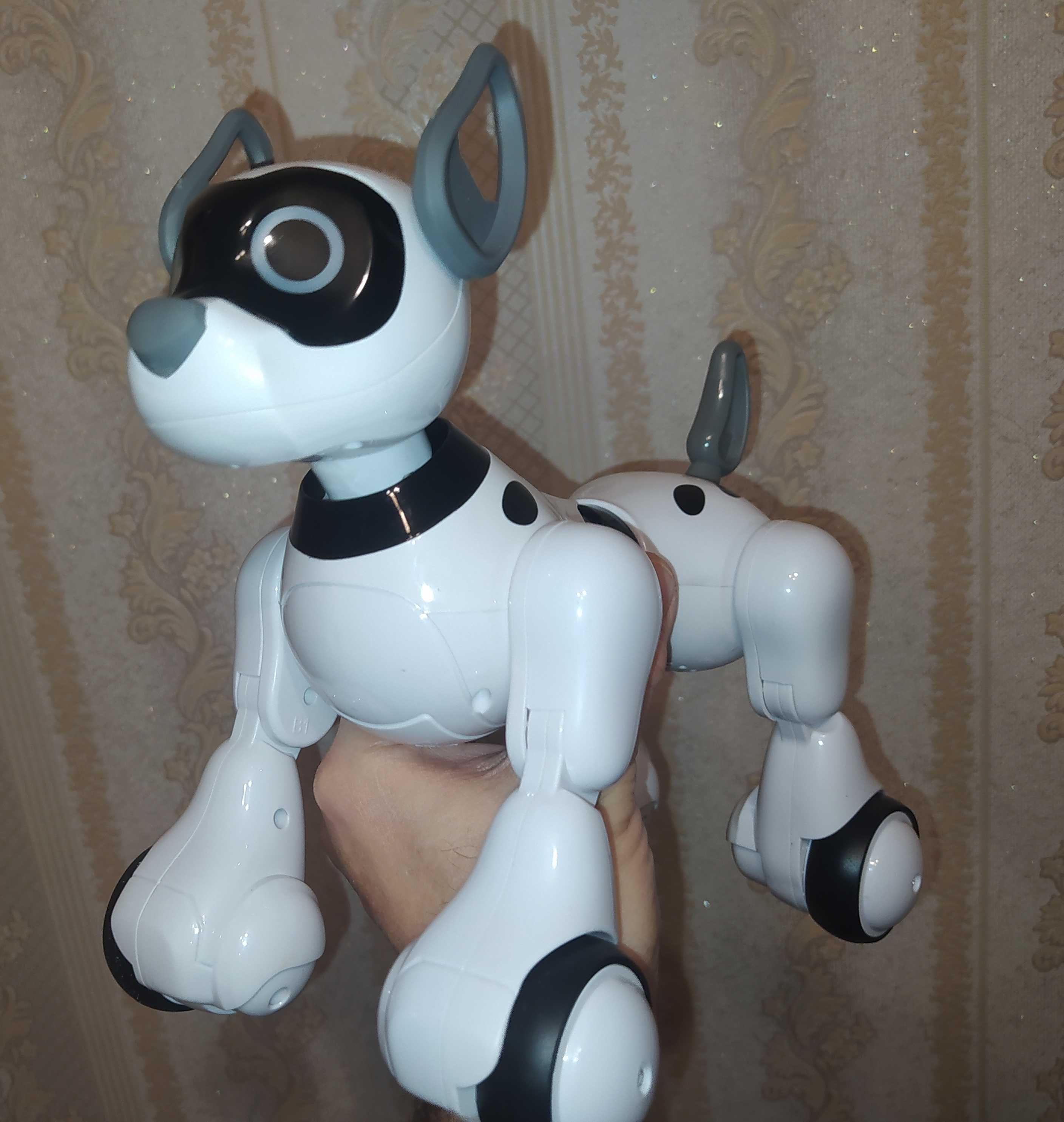 Інтерактивна собака робот на радіокеруванні 20173  на рос мові