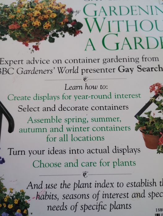 Gardening without garden ogród w pojemnikach  rośliny na taras balkon