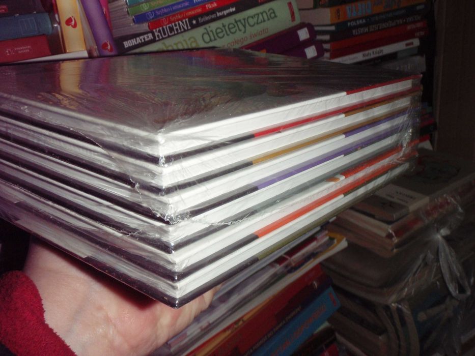 PRACA Szukam, zmieniam, wybieram 6 kroków do nowej pracy całość NOWA