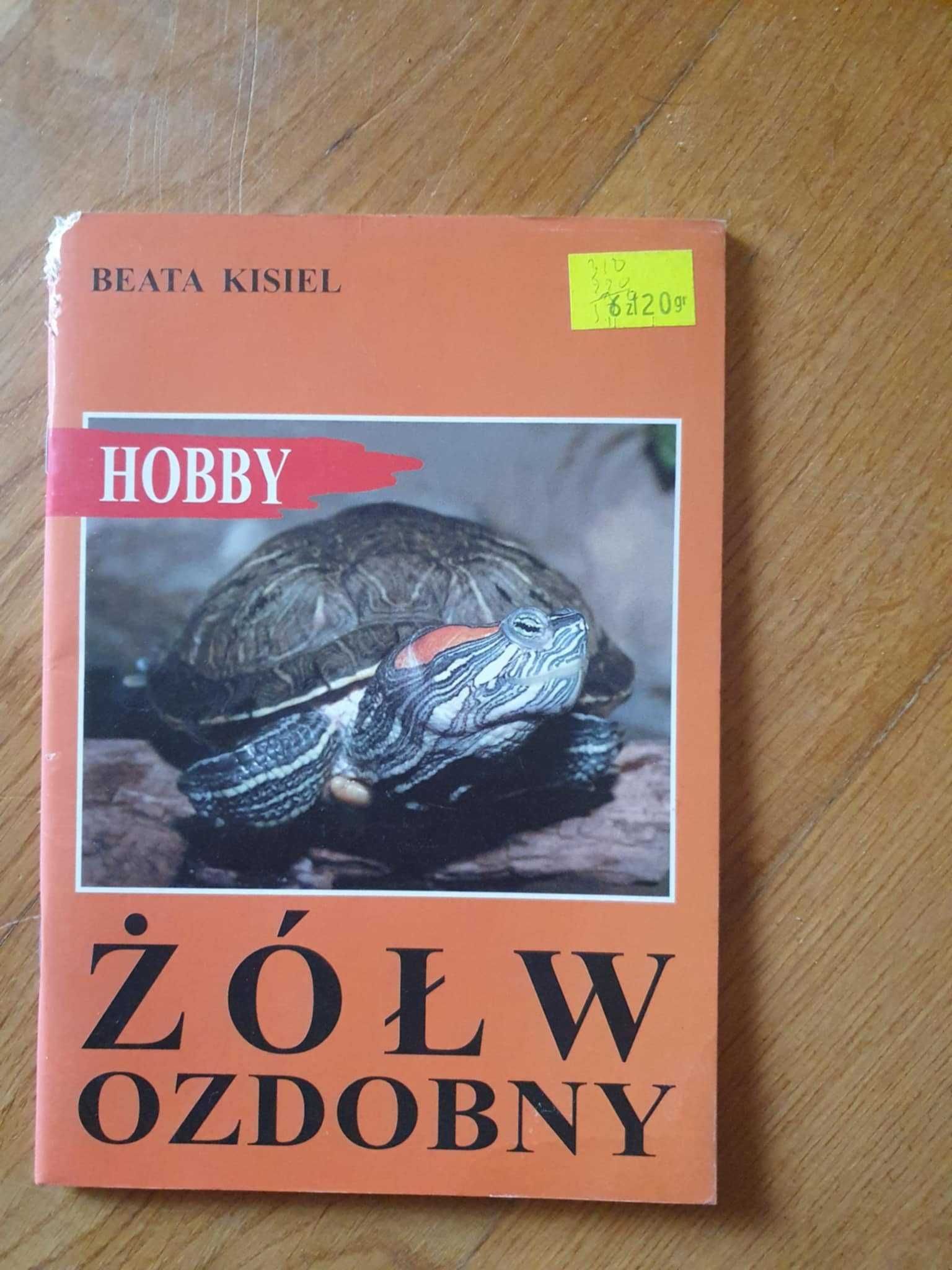 książki z zakresu hobby - labrador retriever, żółw ozdobny, szynszyle