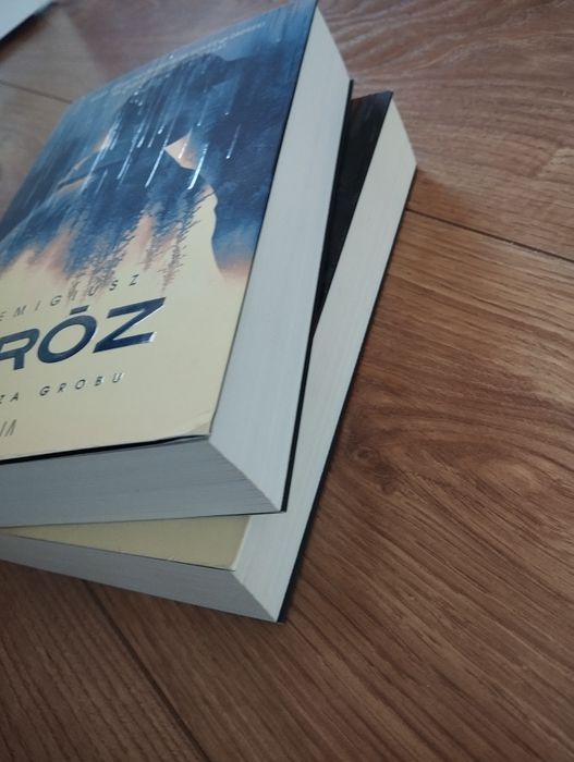 Remigiusz Mróz Głosy z zaświatów, Listy zza grobu