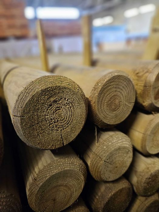 Palisada 10x250 | impregnowana ciśnieniowo | fi6/ fi8/ fi10/ fi12