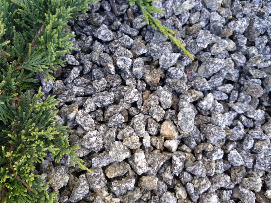 Grys biały granitowy w kropki Dalmatyńczyk frakcje 10-30mm, 20-55mm